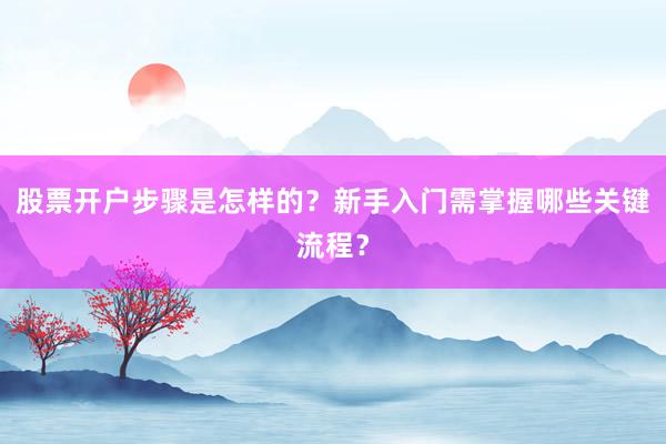 股票开户步骤是怎样的？新手入门需掌握哪些关键流程？