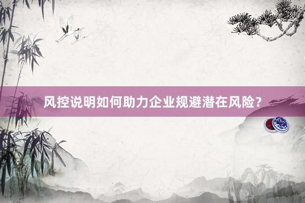 风控说明如何助力企业规避潜在风险？