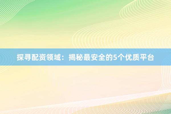 探寻配资领域：揭秘最安全的5个优质平台