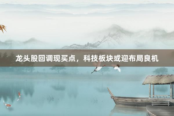 龙头股回调现买点，科技板块或迎布局良机