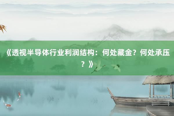 《透视半导体行业利润结构：何处藏金？何处承压？》