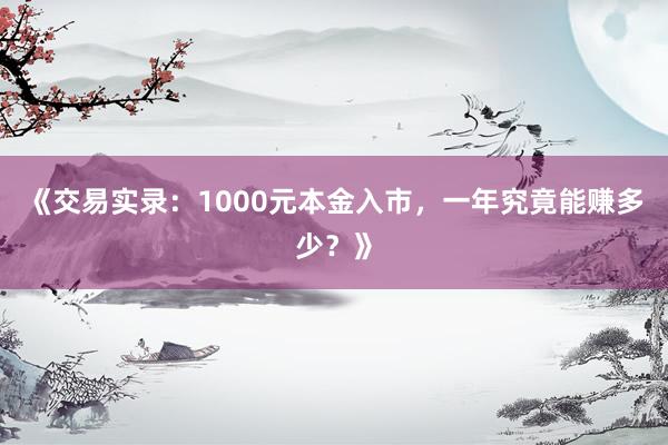 《交易实录：1000元本金入市，一年究竟能赚多少？》